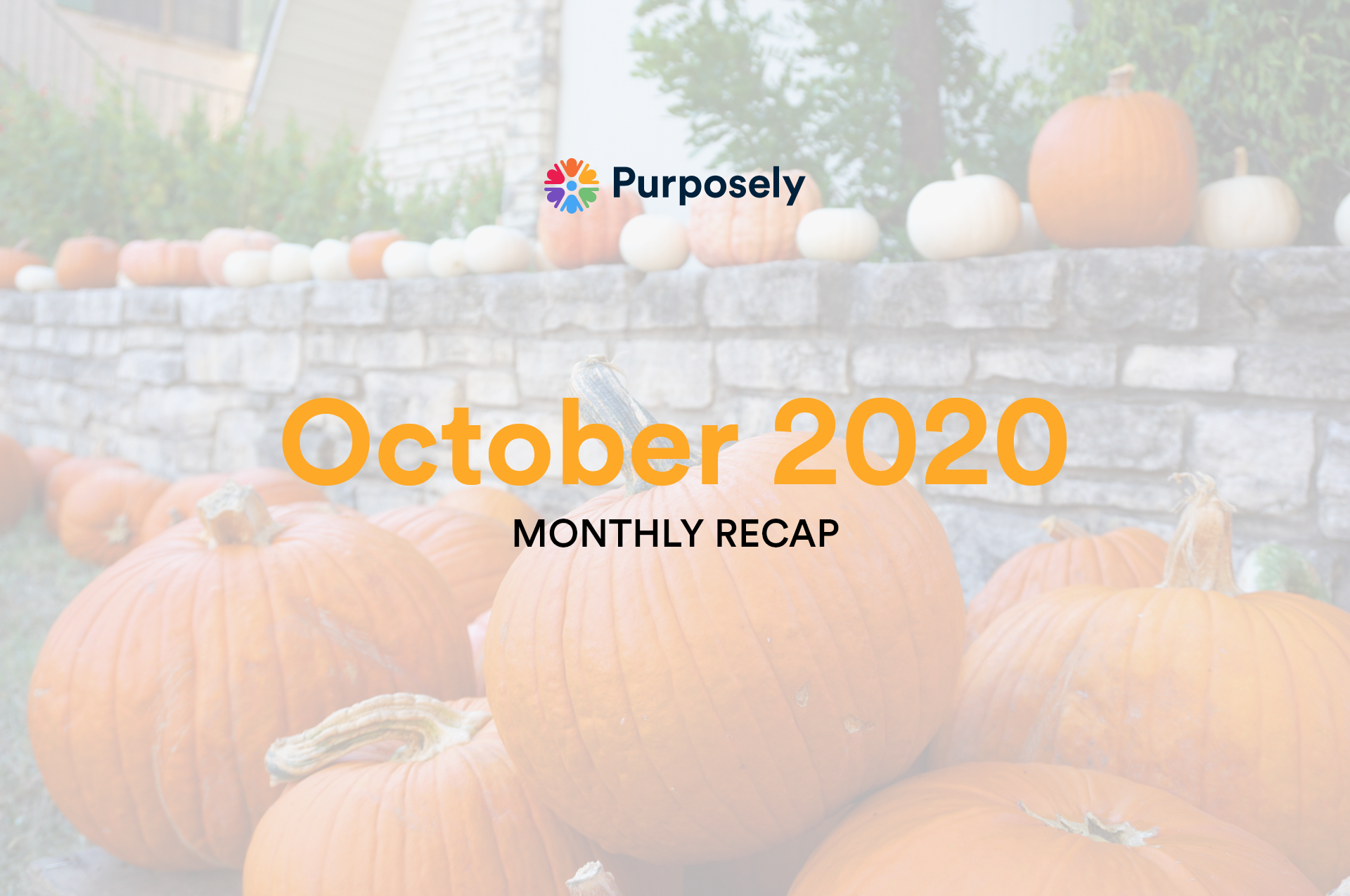 October 2020: Take a peek at our upcoming release!